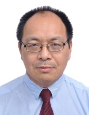 Professsor Meihong Wang